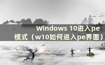 Windows 10进入pe模式（w10如何进入pe界面）